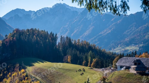 Preview: Wooden cottage situated on the top of a lush, verdant mountain in Logar Valley, Slovenia