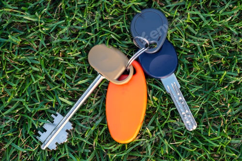 Preview: Key link on the grass. Horizontal photo
