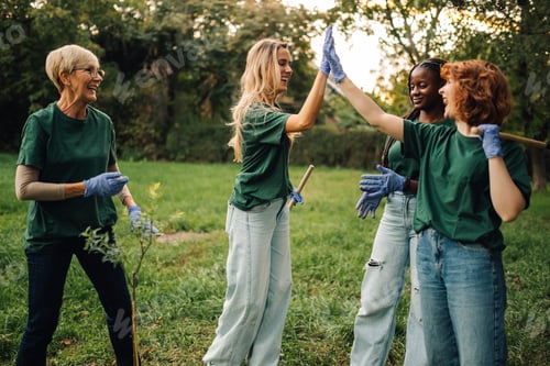 Preview: Volunteers giving high five while planting trees in park