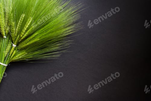 Preview: large fresh green wheat bunch