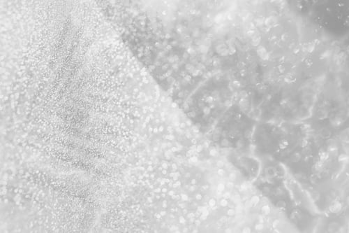 Preview: Gray palm leaf shadow background