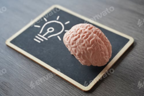 Preview: Human brain model on top of a blackboard with light bulb.