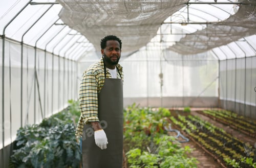 Preview: Farmer Eco Agriculture at organic farm.