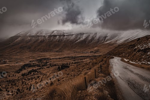 Preview: Beautiful Winter Landscape