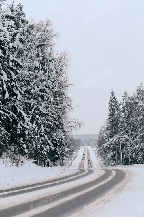 Preview: Snowy Road Through a Winter Forest Landscape