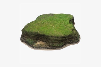 Предпросмотр: Покрытый водорослями известняковый валун