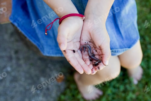 Preview: Earthworm in palms of cupped hands