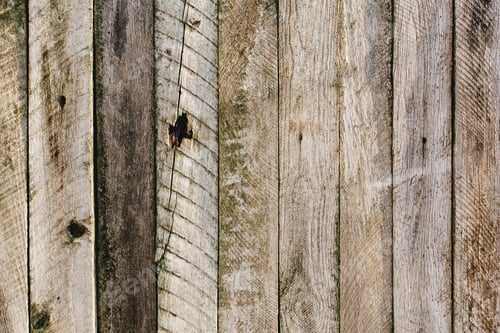 Preview: Old wooden fence background. Old boards texture