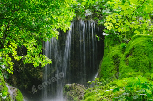 Preview: Green lush foliage detail