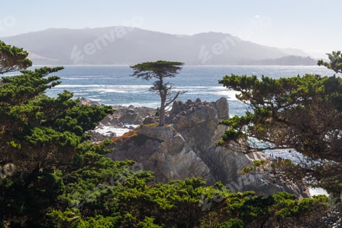 Preview: Coastal landscape in California