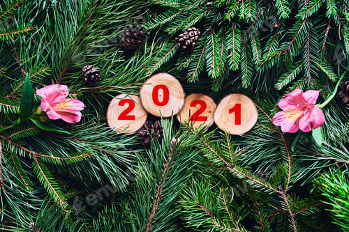 Preview: 2021 inscription on sections on pine and spruce branches with cones and flowers.