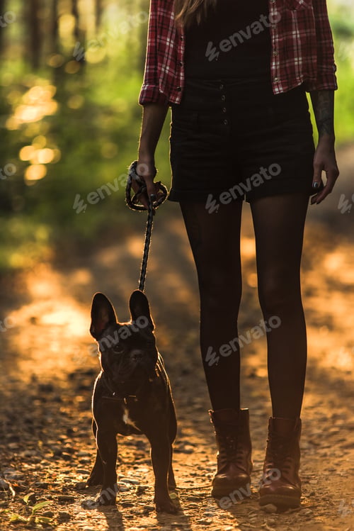 Preview: Young woman walking french bulldog in forest at sunset
