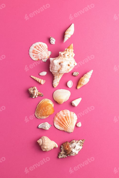Preview: Top view of seashells collection arranged on bright pink background.