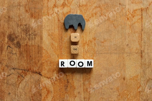 Preview: Elephant in the room concept