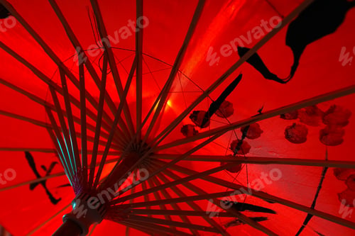 Preview: Traditional japanese umbrella, traditional japanese accessories concept