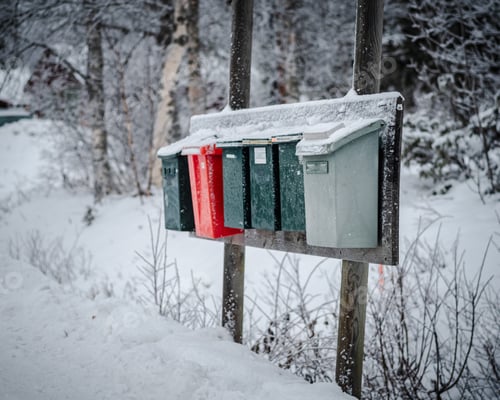 Preview: Shot of colorful mailboxes on a wood covered in the snow surrounded by trees on a blurry background