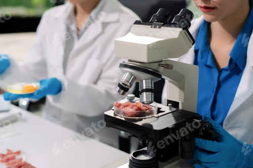 Preview: Microbiologists and nutrition experts analyze molecular samples in advanced food science labs.