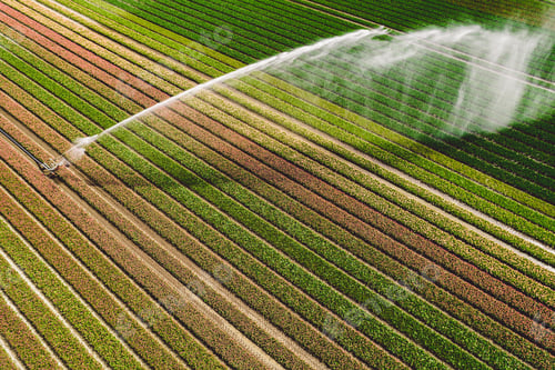 Preview: Irrigation