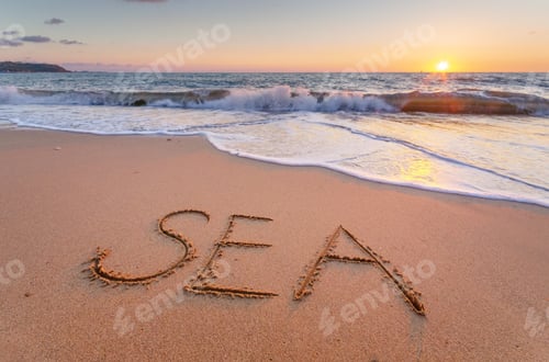 Preview: Sea word on the beach.