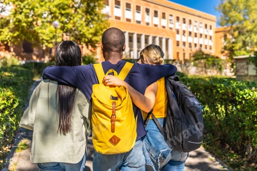 Preview: Multi-ethnic students embracing while walking together to the university