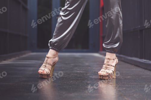 Preview: Woman wearing silver elegant pants