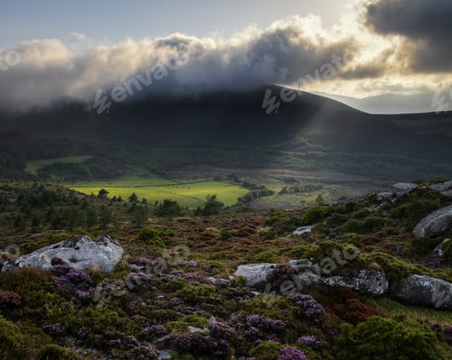 Preview: Meadow illuminated by a Sunray filtered through the Clouds
