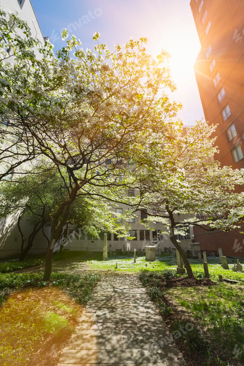 Preview: Jewish cemetery, Mid Town Manhattan, New York, USA