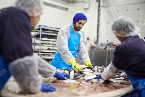 Preview: Fish processing staff