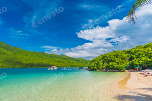 Preview: A tropical sunny beach with coconut palms, sun loungers and turquoise sea.