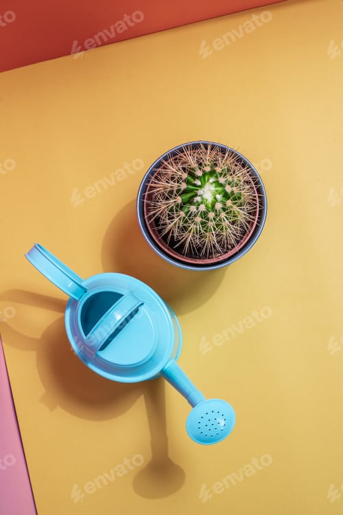 Preview: Watering can with cactus pot