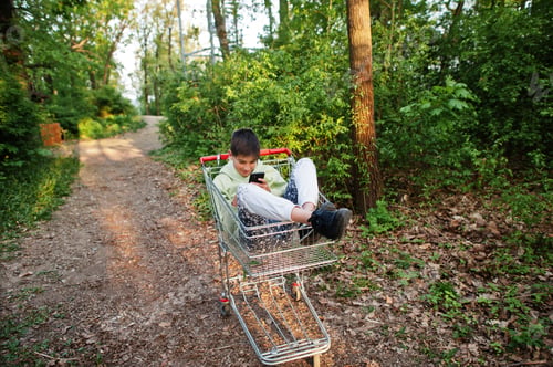 Preview: Boy sitting in trolley with mobile phone at forest.