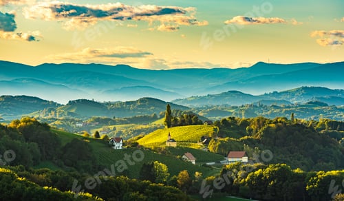 Preview: Styrian Tuscany Vineyard in autumn near Weingut Regele in Ewitsch