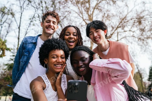 Preview: A group of young multiethnic people are smiling and taking a selfie with a cell phone
