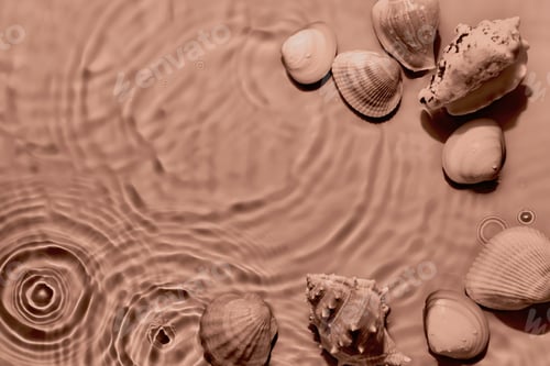 Preview: Transparent water sea shells background, mocha mousse tinting