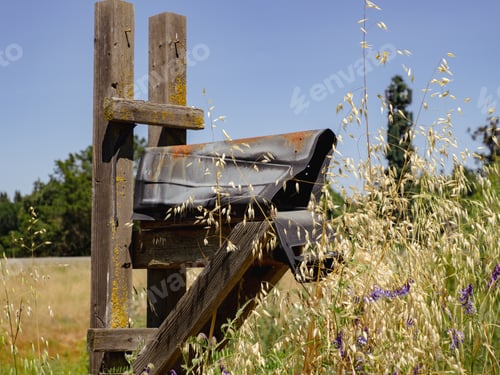 Preview: Lush green grass growing around a mailbox