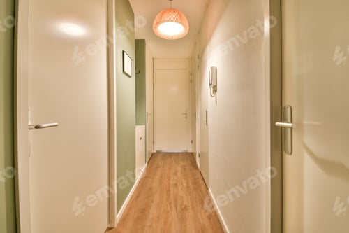 Preview: Entrance and hallway of modern apartment