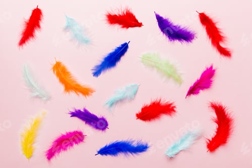 Preview: Close up to bright colorful feathers background. Colored feather background, top view