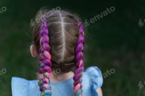 Preview: Child with Colorful Braids in a Natural Setting