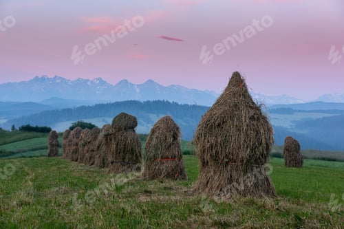 Preview: Haystack in Meadow in Pieniny Park, Poland at Sunrise