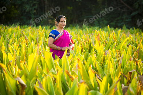 Preview: Happy Indian woman in the turmeric field