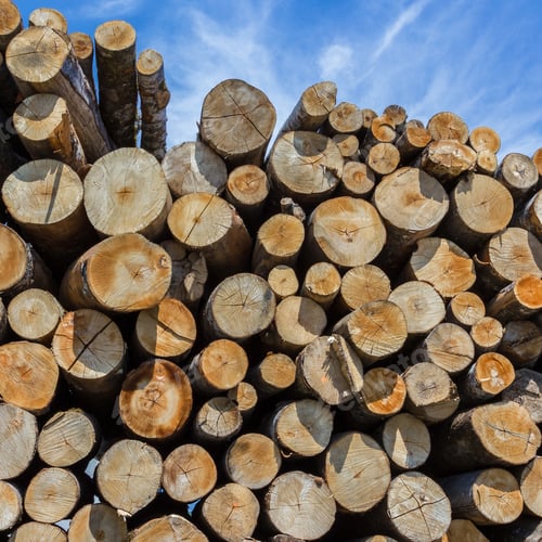 Preview: Stacks of firewood