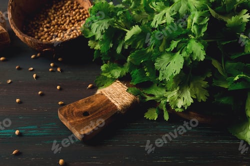 Preview: bunch of fresh Cilantro, coriander seeds, on a dark wooden table, close-up, top view, no people.