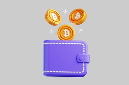Preview: Bitcoin digital wallet