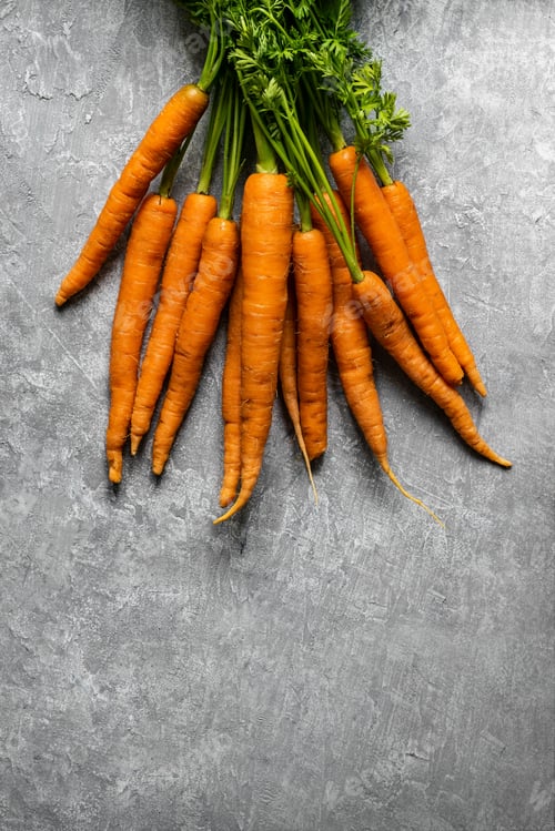Preview: Fresh organic bunch of carrots on a gray kitchen top aerial view