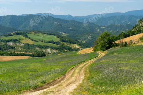 Preview: Summer landscape near Bagno di Romagna, in the Appennino