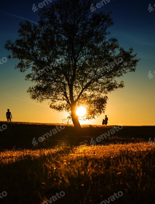 Preview: Silhouette of people on hill at sunset