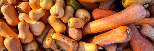 Preview: pumpkin fruit harvest different types and varieties of pumpkins fresh food snack outdoor copy space