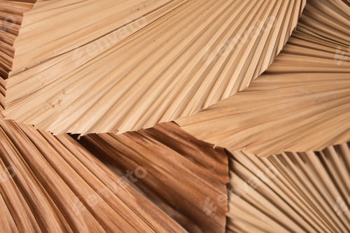 Preview: Close-Up of Dried Palm Leaves Textures
