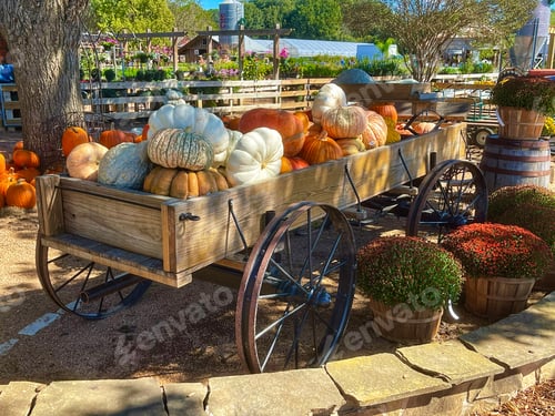 Preview: Wooden Wagon Full of Pumpkins and Gourds