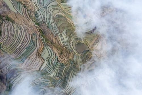 Preview: aerial view of terraced fields in clouds fog